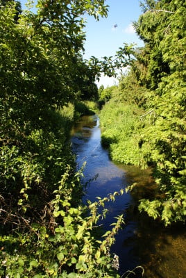 River Wey tributary