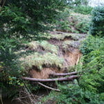 Poorly maintained embankment