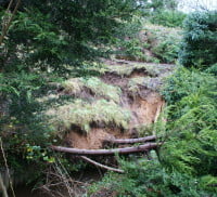 Poorly maintained embankment