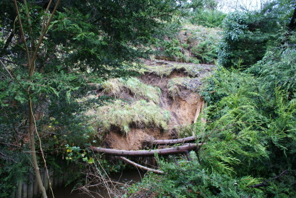 Poorly maintained embankment