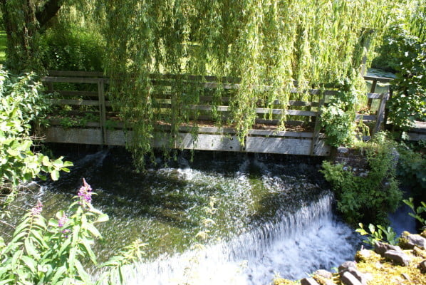 Managing Farnham's rivers