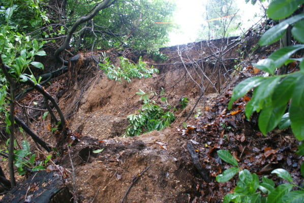 Greenhill landslip FRMC