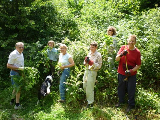 waverley countryside volunteers