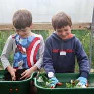 Two boys planting up plants at a gardening workshop.