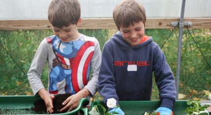 Two boys planting up plants at a gardening workshop.