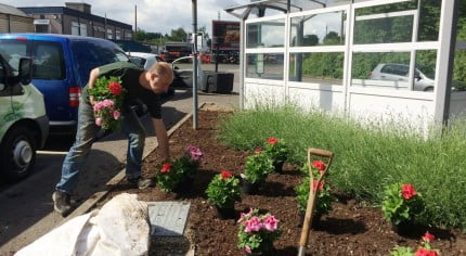 A male planting flowers into a flower bed.