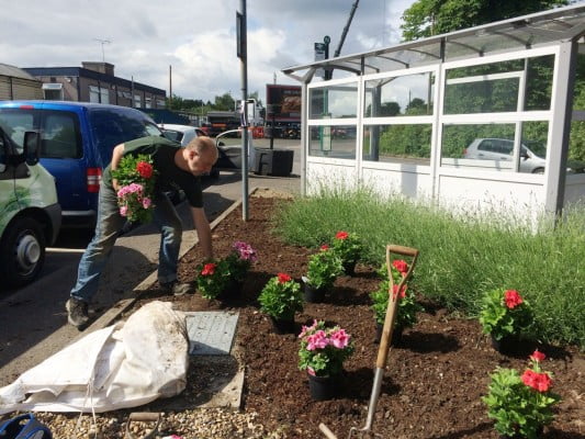 A male planting flowers into a flower bed.
