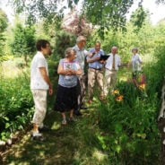 Group of judges in a garden.