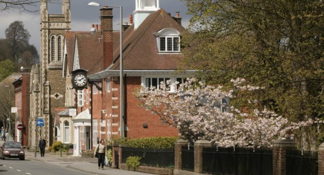 Row of old office buildings. Tree in blossom in foreground.