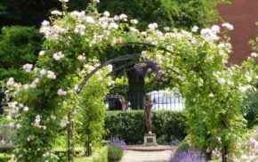 Statue at end of archway of flowers.