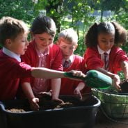 Four school children plant a hanging basket