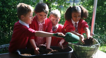 Four school children plant a hanging basket