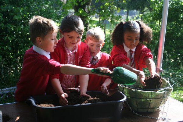 Four school children plant a hanging basket