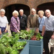 Six people stand next to planters containing vegetables.