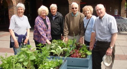 Six people stand next to planters containing vegetables.