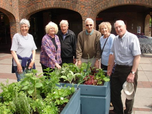 Six people stand next to planters containing vegetables.