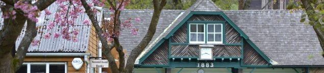 Slate roof of a pavilion