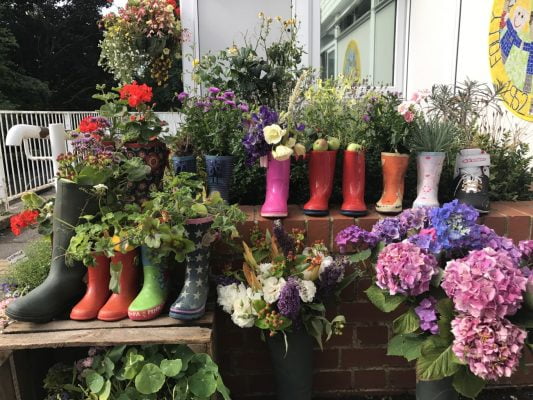 Plants growing in a display of Wellington boots.