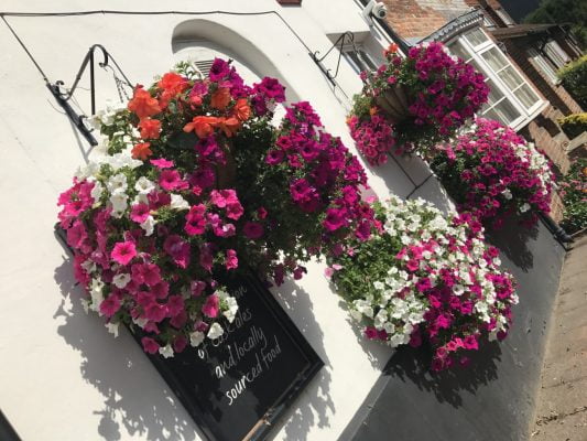 Hanging baskets filled with pink and white flowers