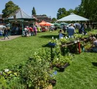 Plant stall and marquees in a park area