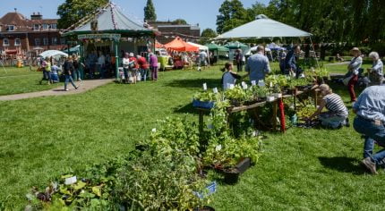 Plant stall and marquees in a park area