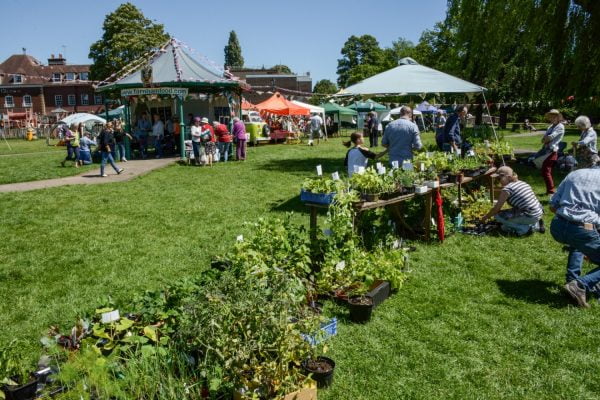 Plant stall and marquees in a park area