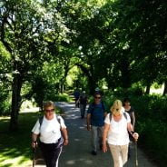 People walking on path in dappled sunlight.