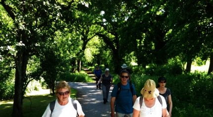 People walking on path in dappled sunlight.