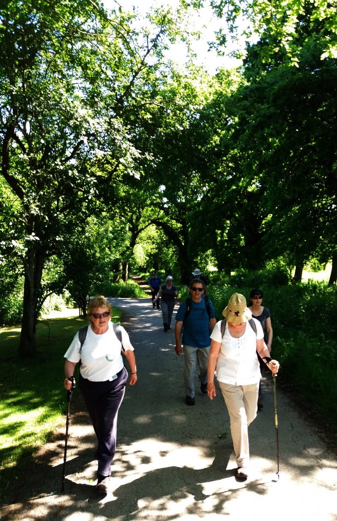 Walking Festival starts soon book your place now Farnham Town Council