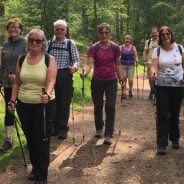 Group of people walking in the woods.