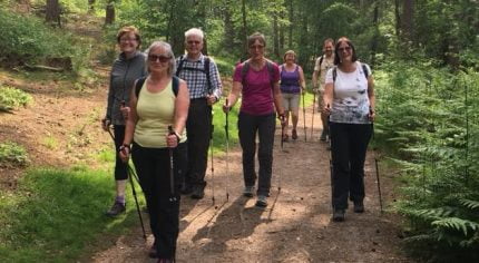 Group of people walking in the woods.