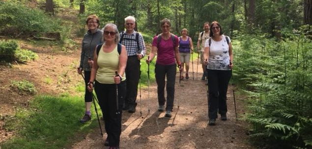 Group of people walking in the woods.