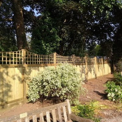 Bench with shrub and wooden fence behind.