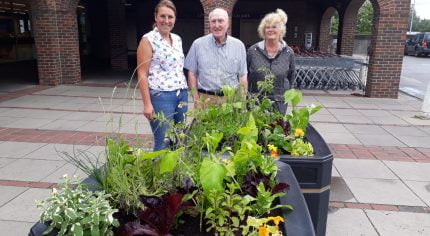 3 people standing behind two planters filled with vegetables ripe for harvest.