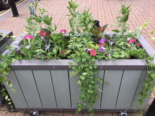 Wooden planter filled with flowers and plants.