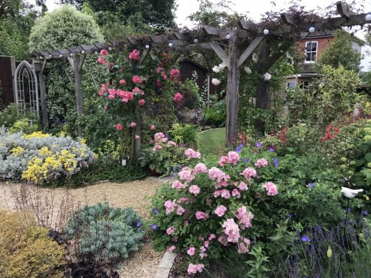 Pretty back garden