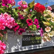 Close up of pink, purple and white flowers in a trough with a plaque on the container showing a sponsor's name.
