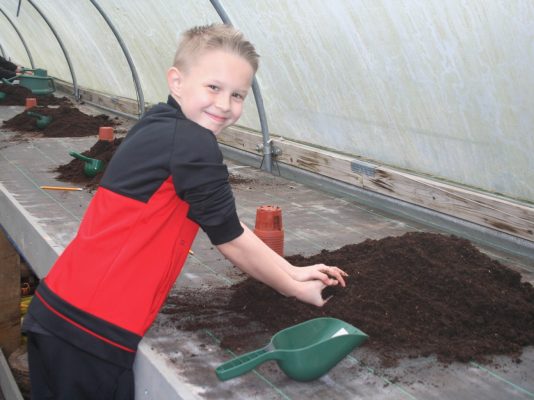 Boy with hands in a pile of soil.