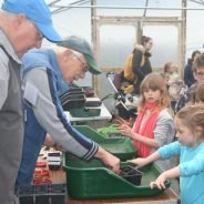 Adults and children gardening