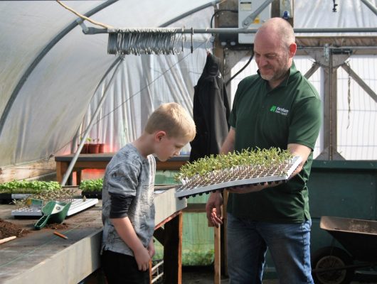 Boy inspects tray of seedlings held by a male. Greenhouse setting.