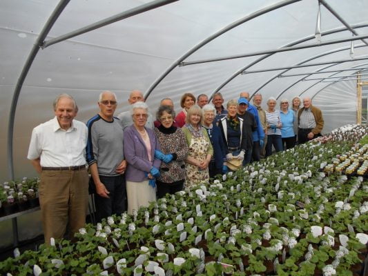 Group of people in greenhouse in front of hundreds of plants.