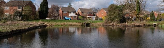 Pond in foreground with houses behind.