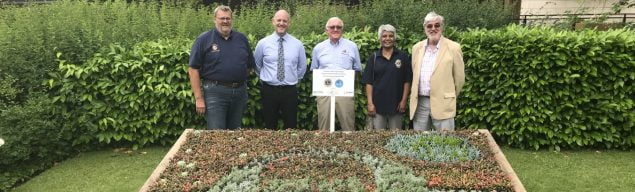 Five people standing behind a flower bed