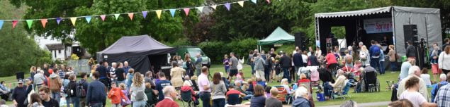 Group of people sitting in a park watching live music