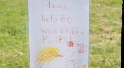 A4 poster drawn by a child saying Please help to water the plants.