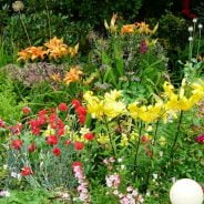 Flower bed with red, yellow and orange flowers.