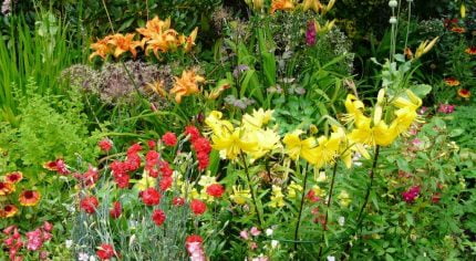 Flower bed with red, yellow and orange flowers.