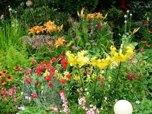 Flower bed with red, yellow and orange flowers.
