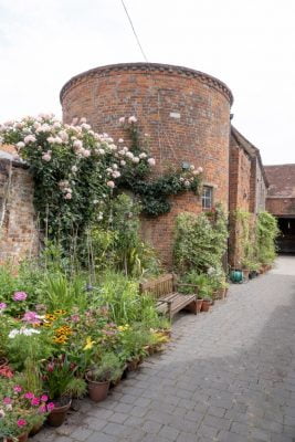 Courtyard garden