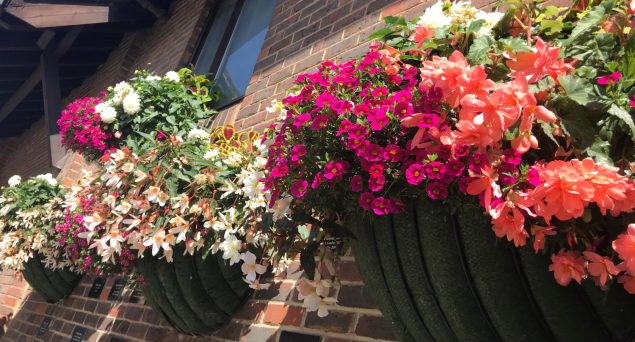 Half moon hanging baskets on a wall.